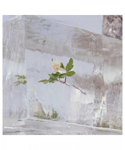 Efterklang Windflowers (Clear) Vinyl Record $6.12 Vinyl