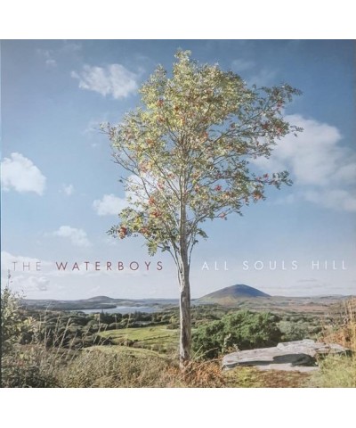 The Waterboys All Souls Hill Vinyl Record $15.43 Vinyl