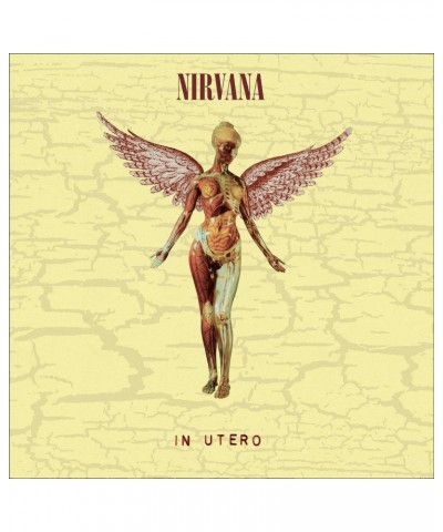 Nirvana In Utero (30th Anniversary) (8LP) Vinyl Record $156.40 Vinyl