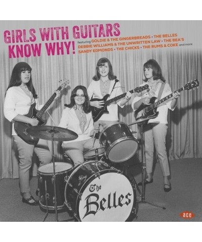 Girls With Guitars Know Why / Various Vinyl Record $11.28 Vinyl